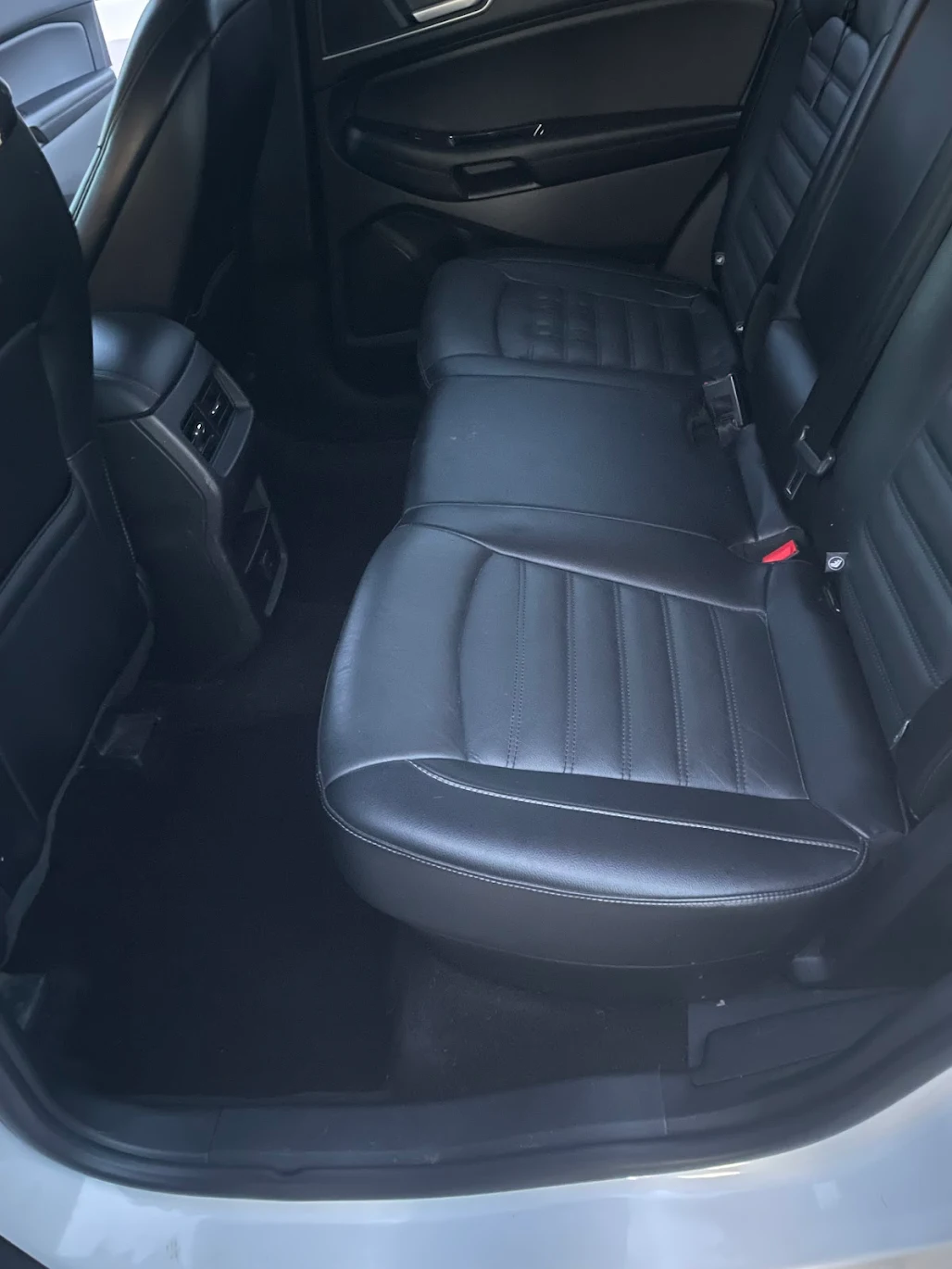 Professional car cleaning